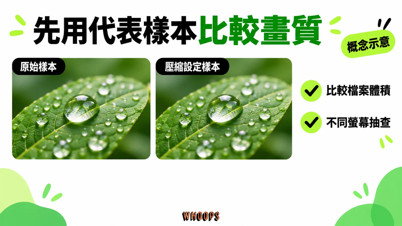 先用代表樣本比較畫質:細節樣本、檔案體積、不同螢幕